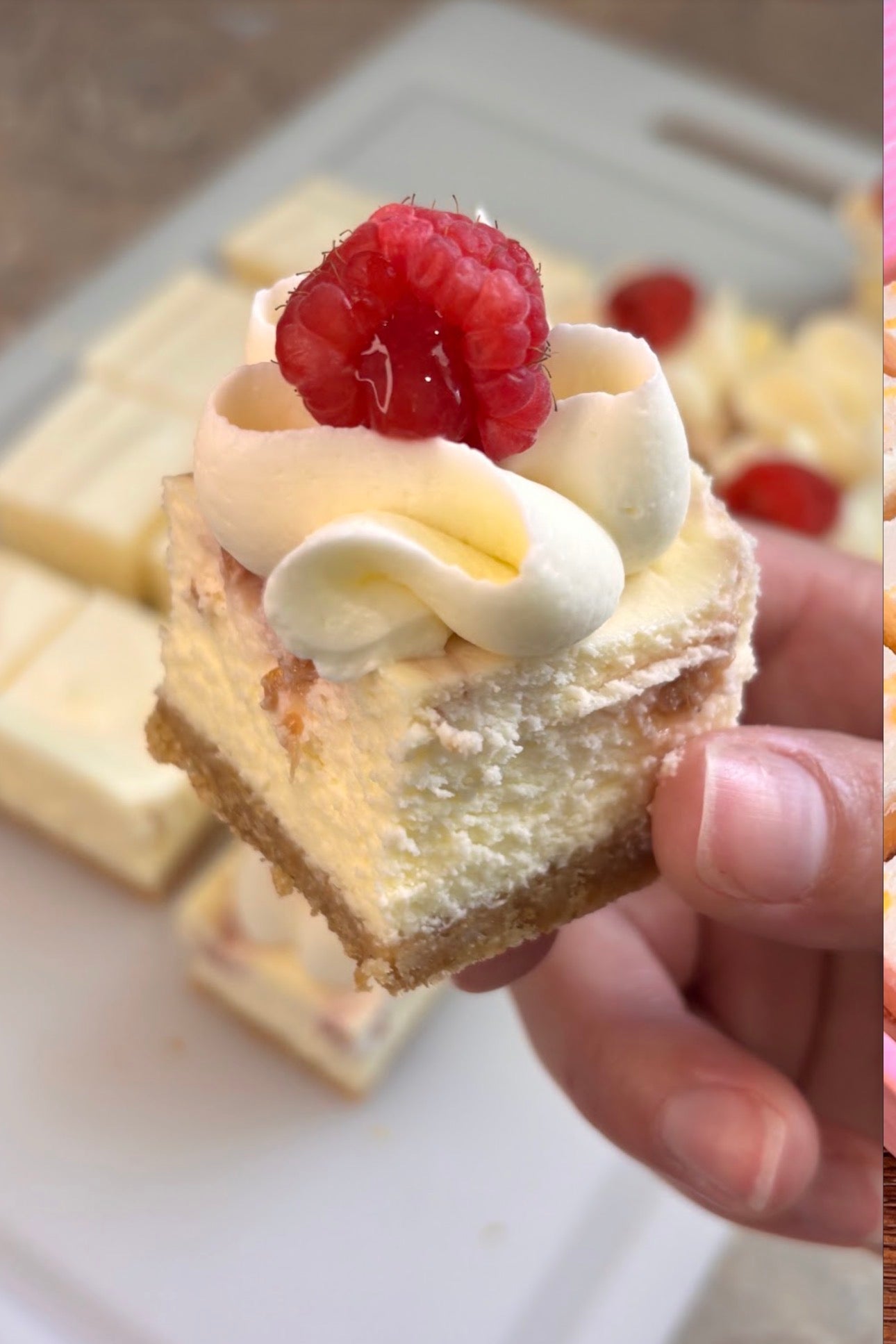 NY raspberry cheesecake bite